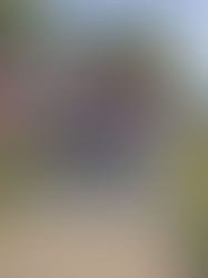 Vieques celebra exitoso regreso a clases