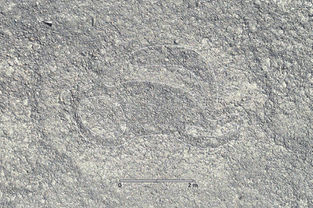 Hundreds more Nazca Lines emerge in Peru’s desert