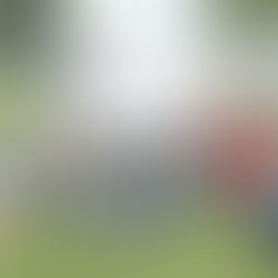 Municipio de Naguabo da inicio a la rehabilitación del Parque de Béisbol del Barrio Florida