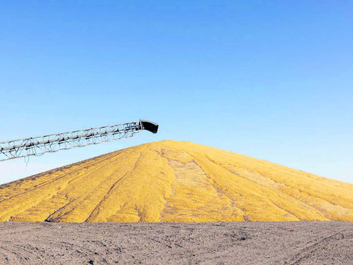 Biden and environmental groups try to protect climate policies from Trump