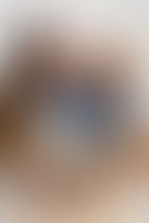 Regresa la 5ta edición del National Dog Day