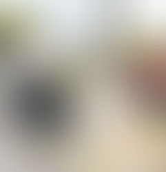 Ponen en marcha programa integral de mantenimiento y ornato Humacao Resplandece