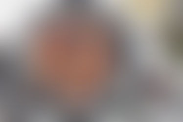 How healthy is turkey?