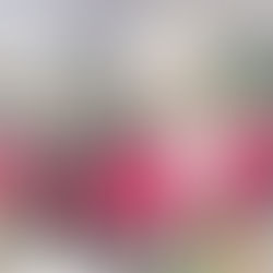 Home True Value de Juncos celebra segundo aniversario