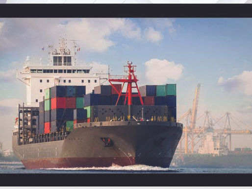 House to probe port inspection system