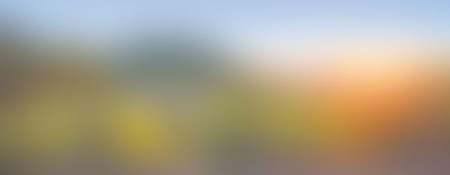 Chianti Classico Riservas to find right now