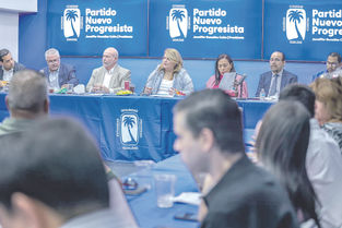 Abren período de candidaturas para cubrir vacante en distrito representantivo 31 de Caguas y Gurabo