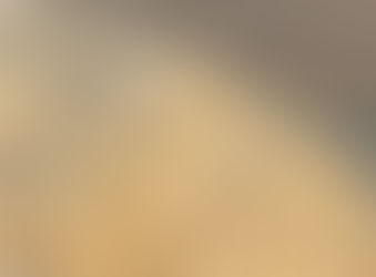 A stray dog climbed an Egyptian pyramid. Along came a paraglider.