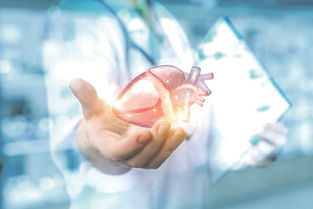 Una inmunoterapia experimental logra revertir daño energético del corazón por el colesterol
