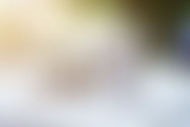 La Quiebra como un nuevo comienzo