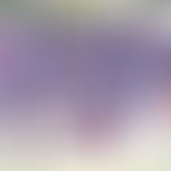 Siguen en carrera los Indians de Caguas