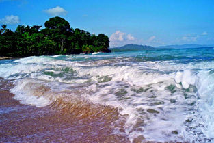 How to stay safe from rip currents, and what to do if you’re caught in one