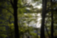 _DSC4395_edited.jpg