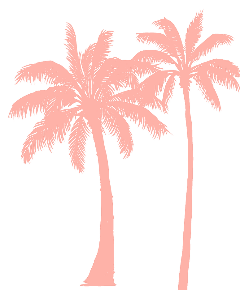 Ilustración.png