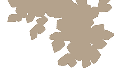 bush (2).png