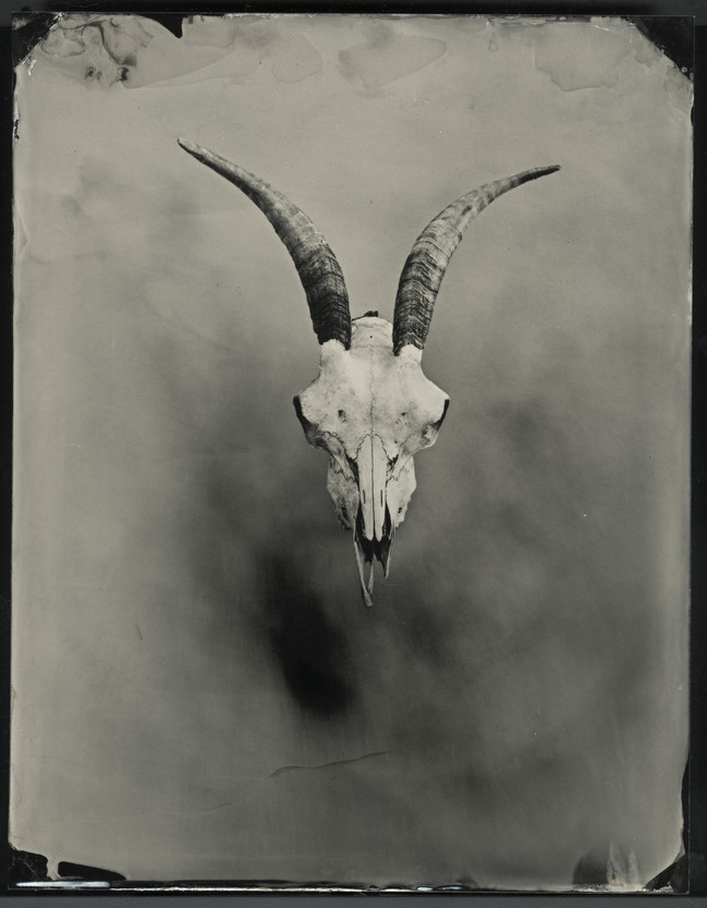 skull1.jpg