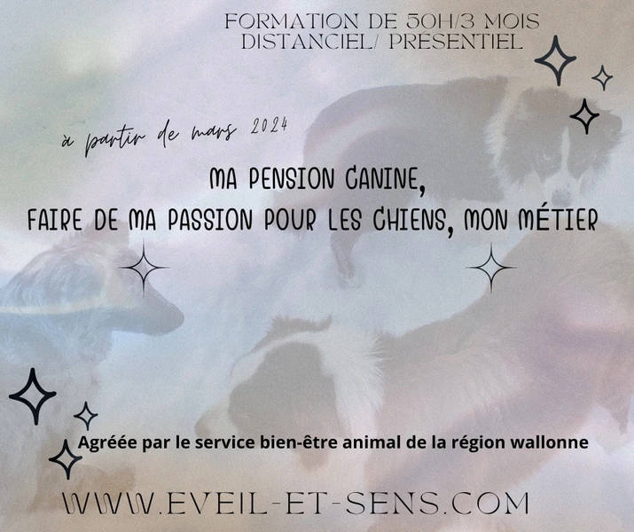 formation gestionnaire de pension canine