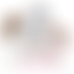 The Ultrasound (post 14)