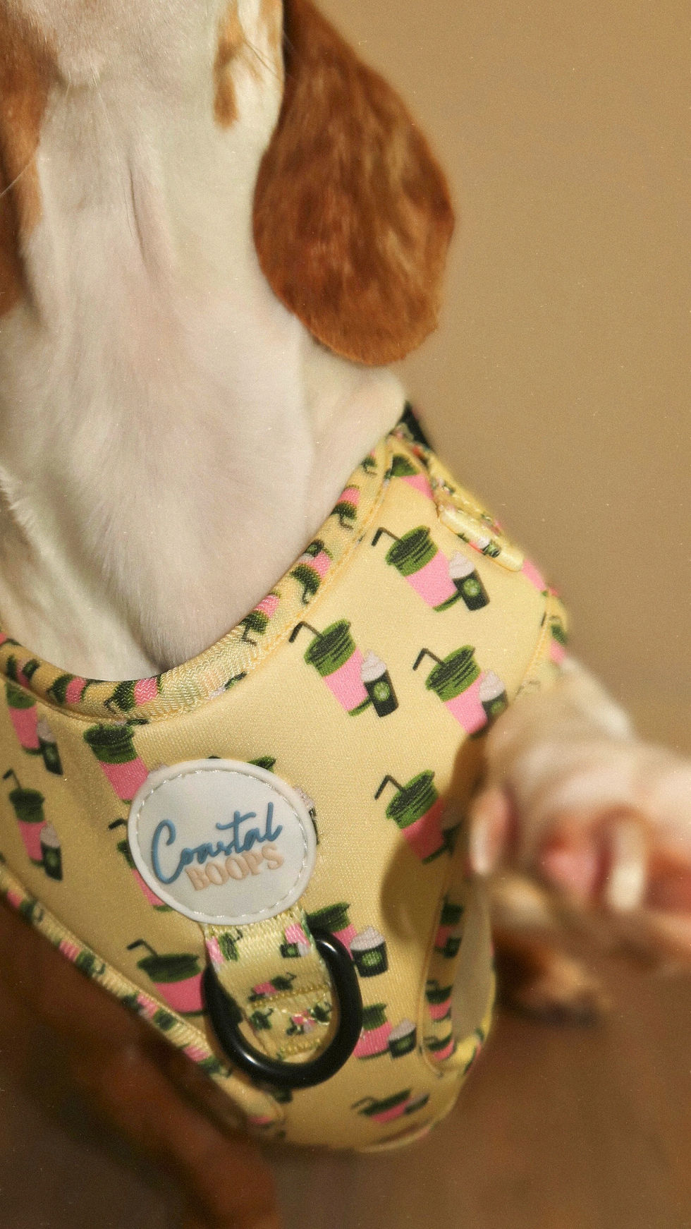 Thumbnail: “I RUFF YOU SO MATCHA” WALKIE SET