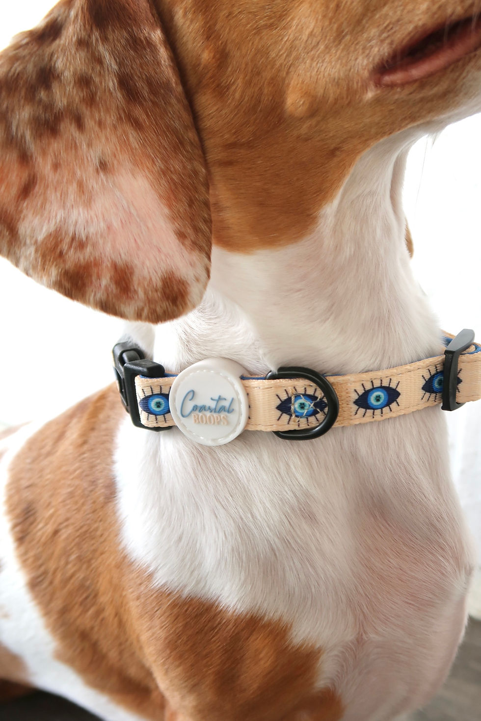 Thumbnail: "PAWTECTION" COLLAR