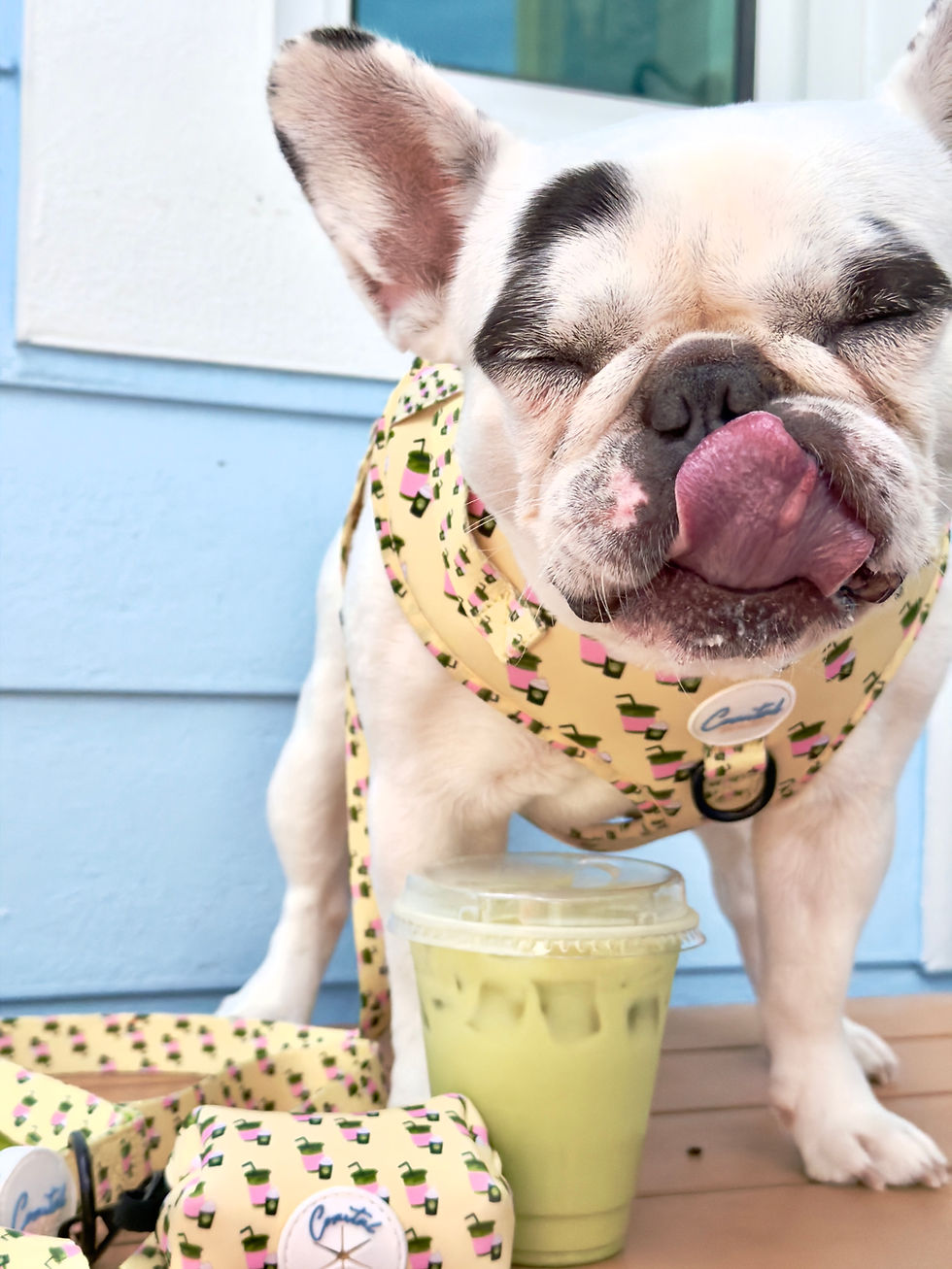 Thumbnail: “I RUFF YOU SO MATCHA” WALKIE SET