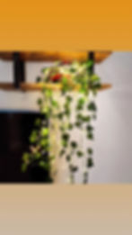 Dekoratif Yapay Sarmaşık Peri LED Aydınlatma | USB & Pilli, 3 Işık Fonksiyonlu