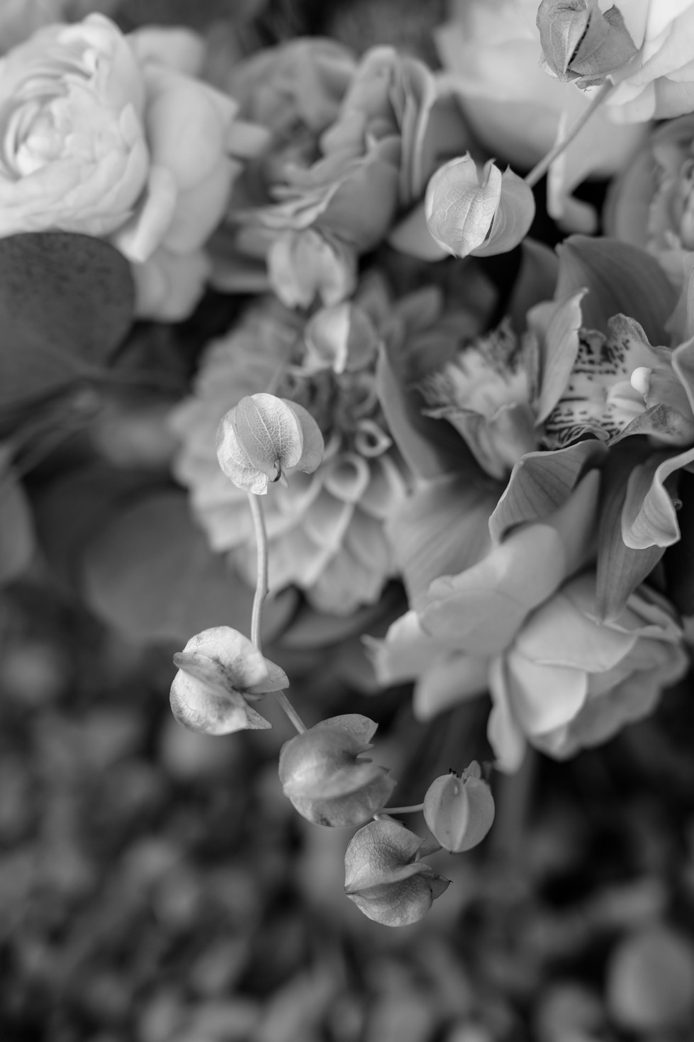 IMG_5743.JPG