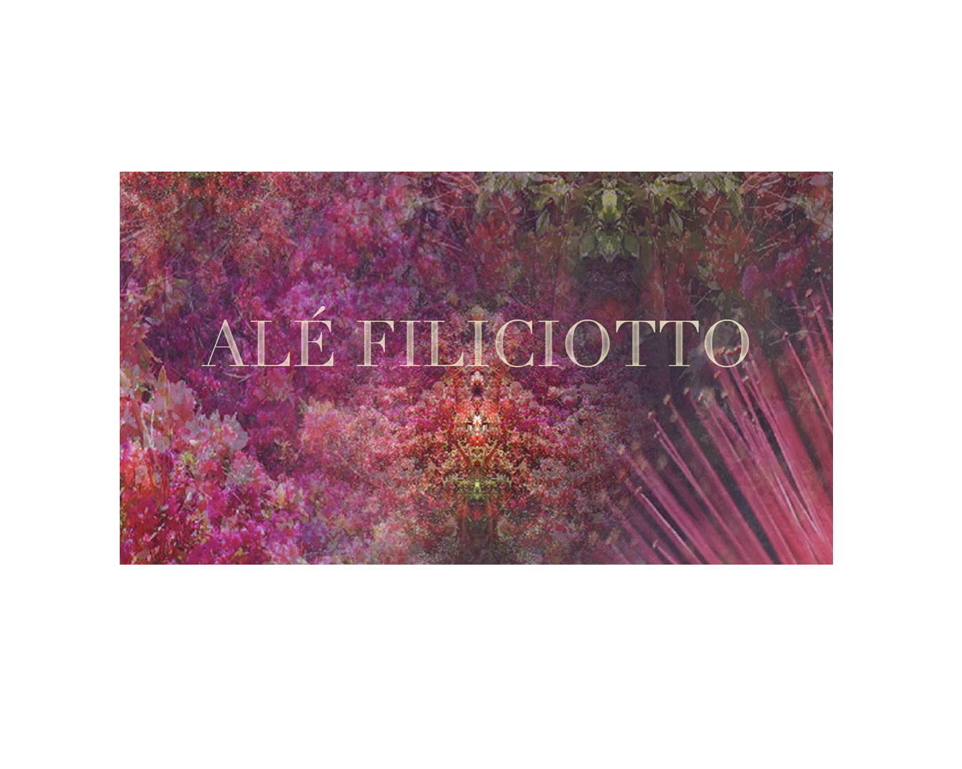 Alejandra Filiciotto dutchess county real estate agent Dutchess County, NY, USA