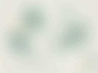 Terapia Holística Online: Equilibra tus Molestias Persistentes