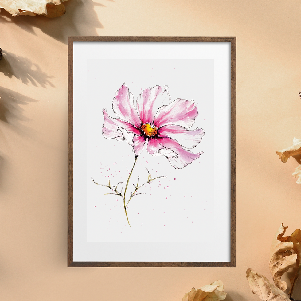 Sarah Koon - Floral Illustration - Cosmos