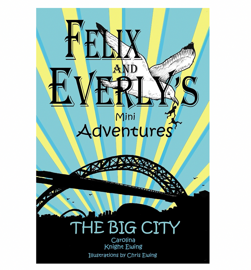 Felix and Everly's Mini Adventures: The Big City Children's Book