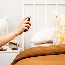 Alimental Night Night Spray