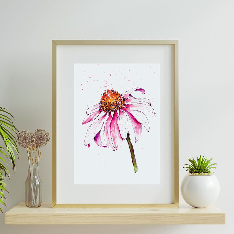 Sarah Koon - Floral Illustration - Coneflower
