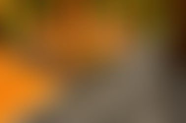 Deck Painting That Enhances Outdoor Spaces