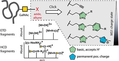 J Mass Spec.jpeg