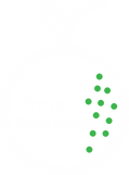 Green oranges-white-green_4x.png