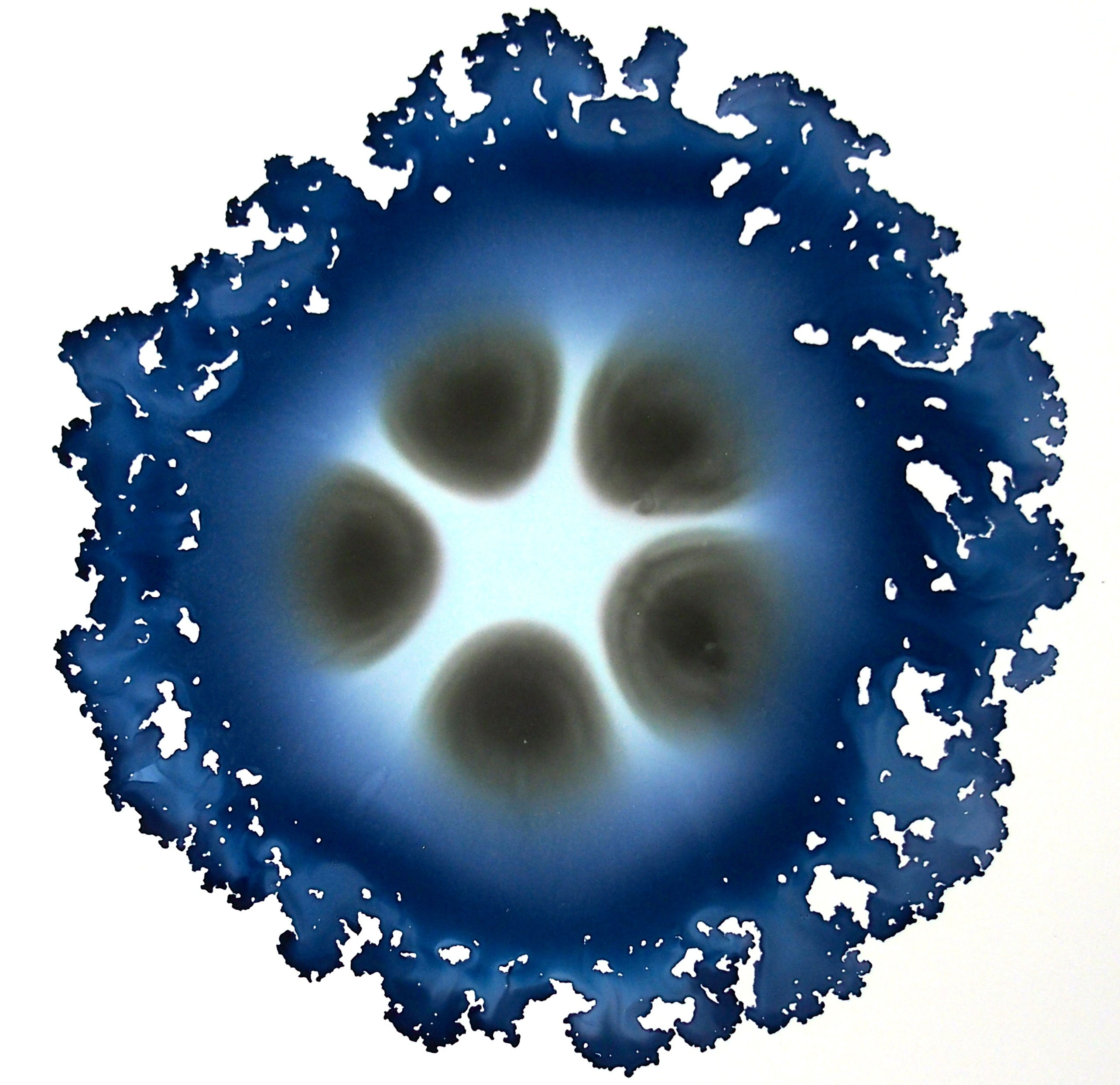 Single Navy and Black  Geode