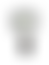 ACASA London - Faux Olive Tree