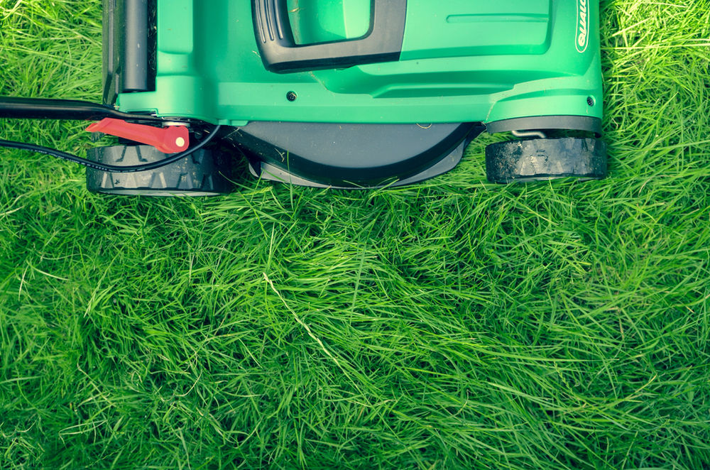 The Benefits and How to's of Scalping Your Lawn