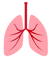respiratory health