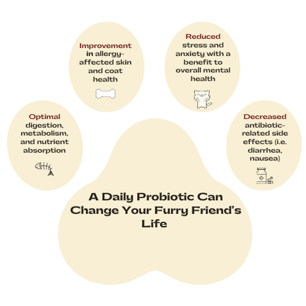 Copy of Copy of Your bacteria is endangered! Prevent it from going extinct (7).png