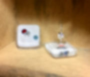 IMG_3373.jpeg