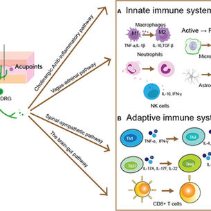 Patient receiving acupuncture for immune system support during cold and flu season.