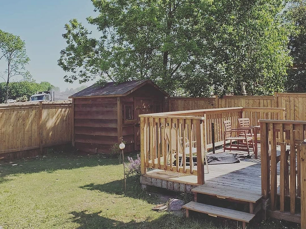 Deck and Fence