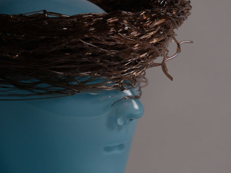 Blinded by a Grapevine