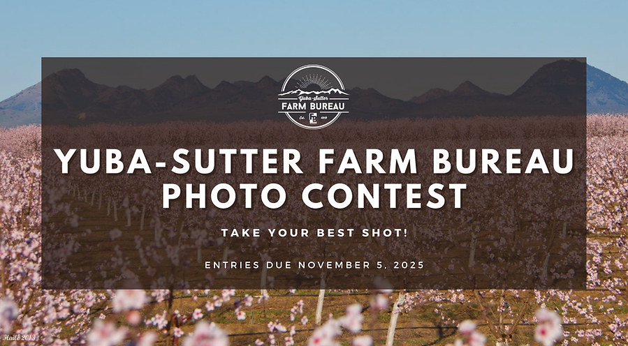 Yuba-Sutter Farm Bureau Photo Contest! deadline October 17.png