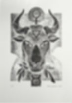 Taurus