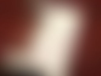 ライオンラグの本を書いた話