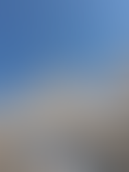 コロナウィルス感染拡大に伴う営業変更のお知らせ