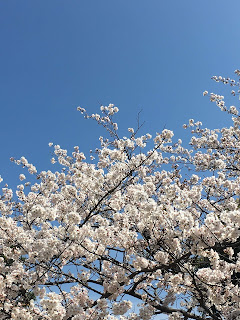 コロナウィルス感染拡大に伴う営業変更のお知らせ